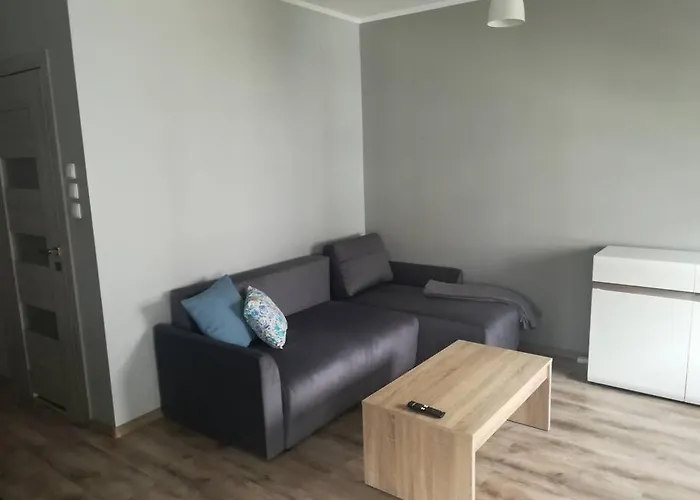 Studio Rzezniczaka